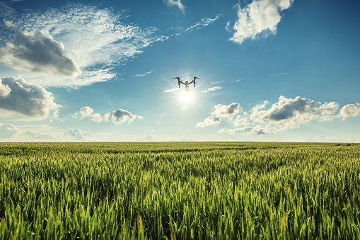 Tomorrow's farmers likely to be "data scientists, programmers and robot wranglers”