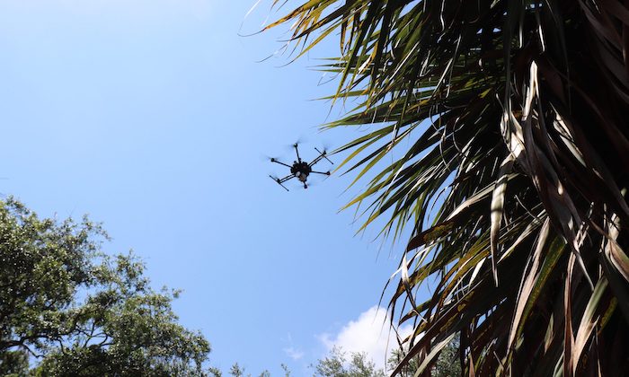 Drones reveal secrets of ancient Florida village