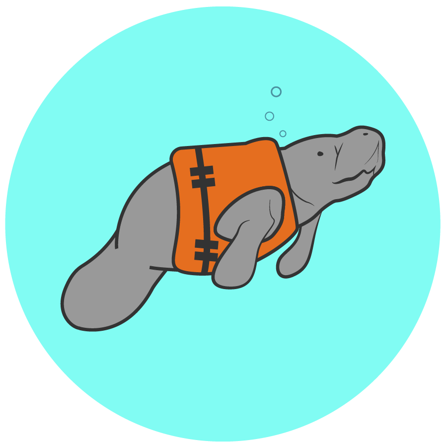 a manatee wears a life jacket in an illustration