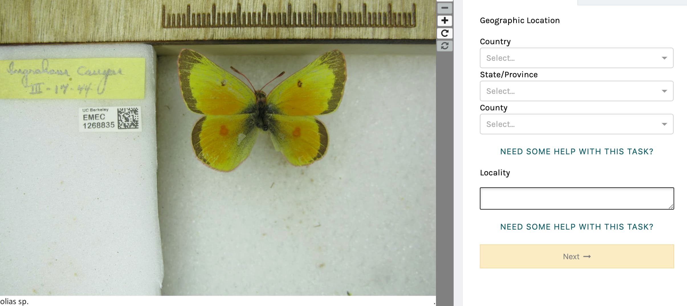 the notes from nature interface with a butterfly specimen