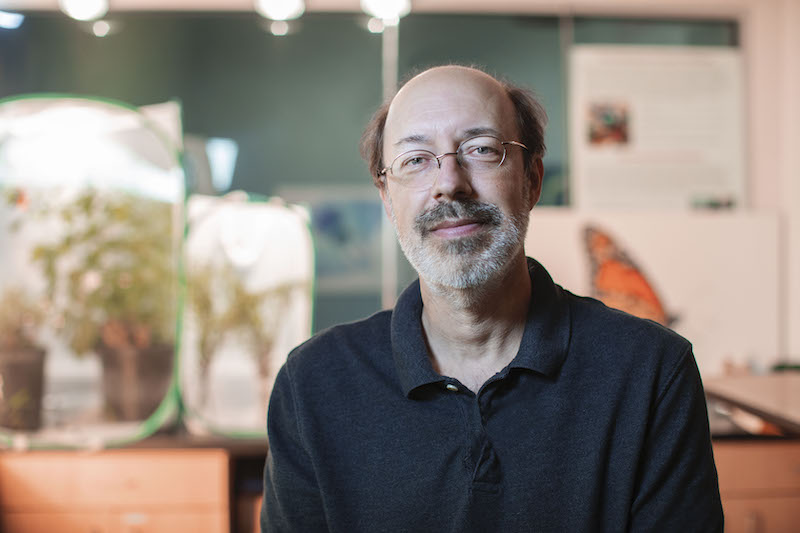 Jaret Daniels smiles in his lab with enclosures of rare butterflies he is raising in the background