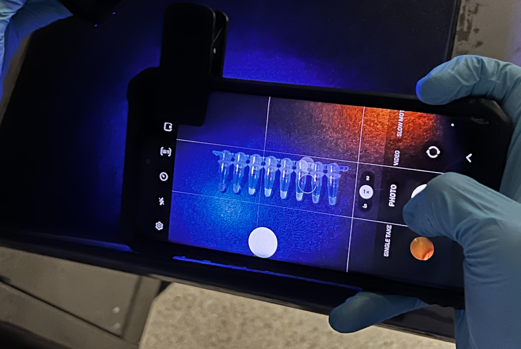 An image of a phone's camera application focusing on test vials.