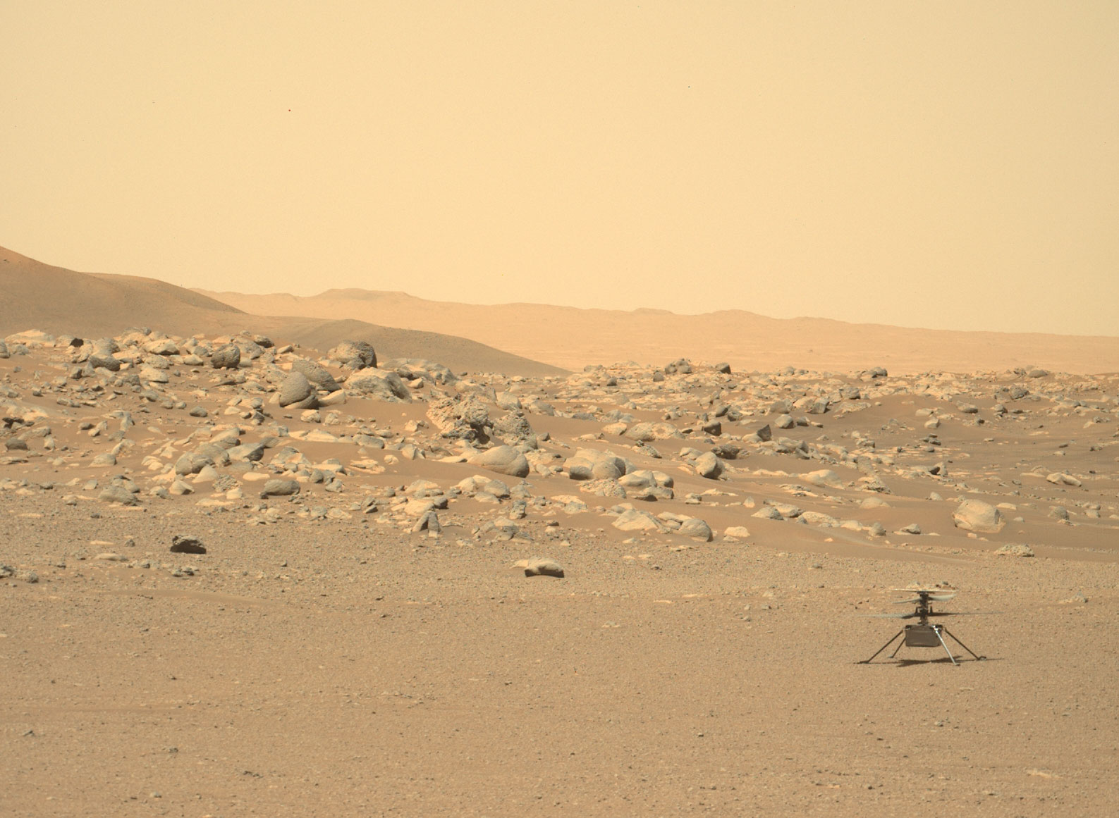 A small helicopter sits on the ground on Mars