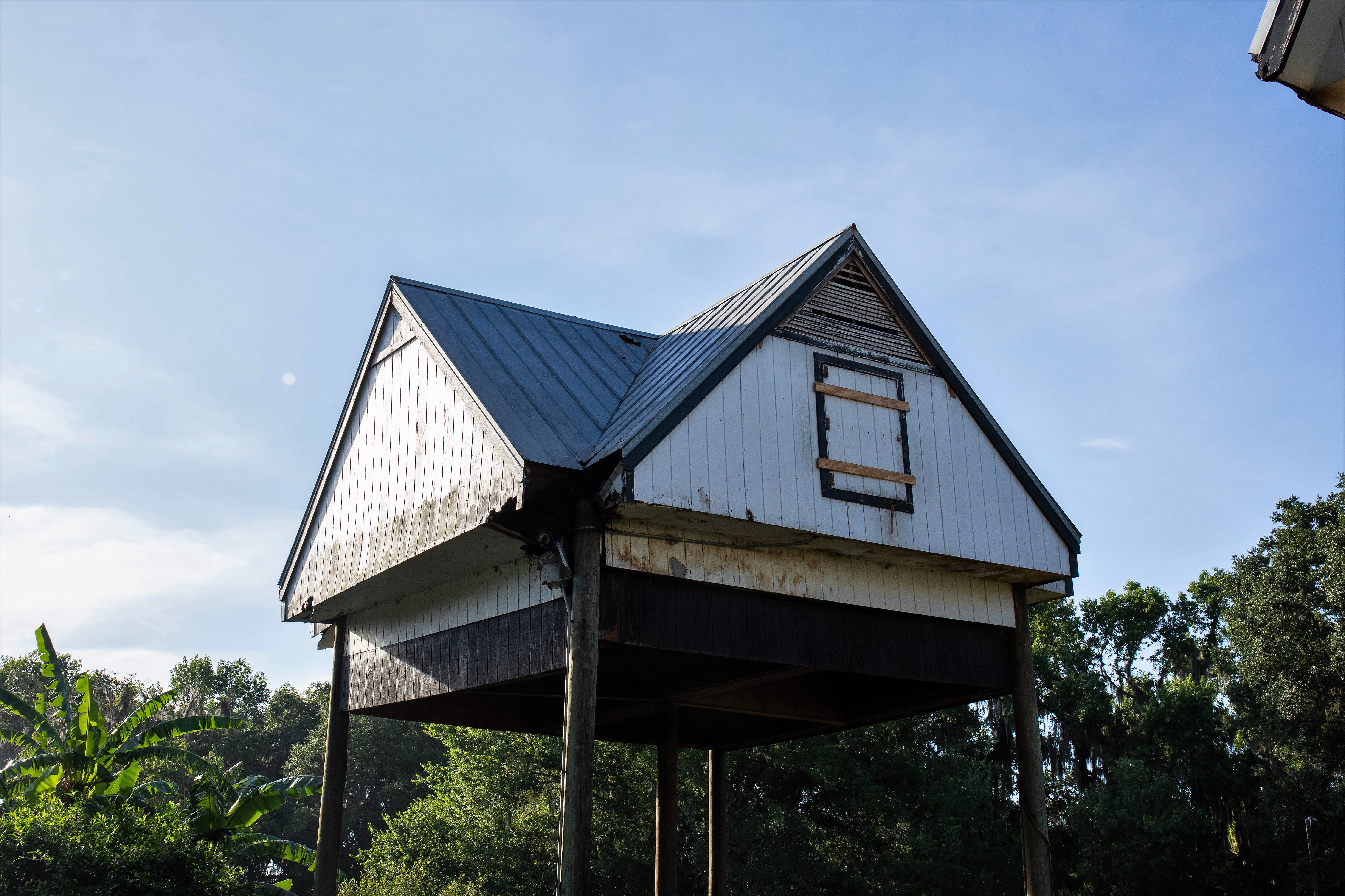 <p>The University of Florida's original bat house was built in 1991 and is in need of reconstruction. Photo: Bri Lehan/UF</p>