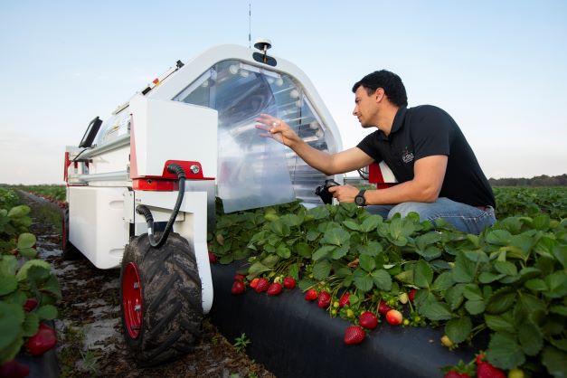 <p>The Institute of Food and Agricultural Sciences (IFAS) at UF is the No. 1 funded research engine at any university in the U.S. in the area of agriculture. Credit: UF/IFAS photo by Tyler Jones</p>