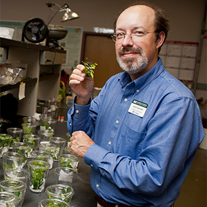 <p>Jaret Daniels is the associate chair for the Department of Natural History and curator at the McGuire Center for Lepidoptera and Biodiversity at the Florida Museum of Natural History. Photo credit: Florida Museum of Natural History.</p>
