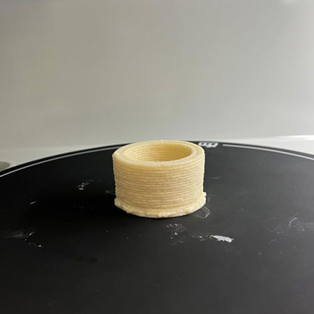 UF/IFAS scientists rethink food possibilities with 3D food printer