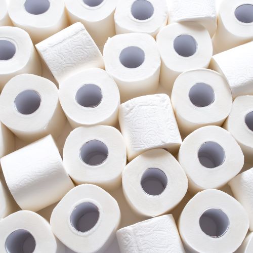 UF study reveals toilet paper as unexpected source of ‘forever chemicals’ 