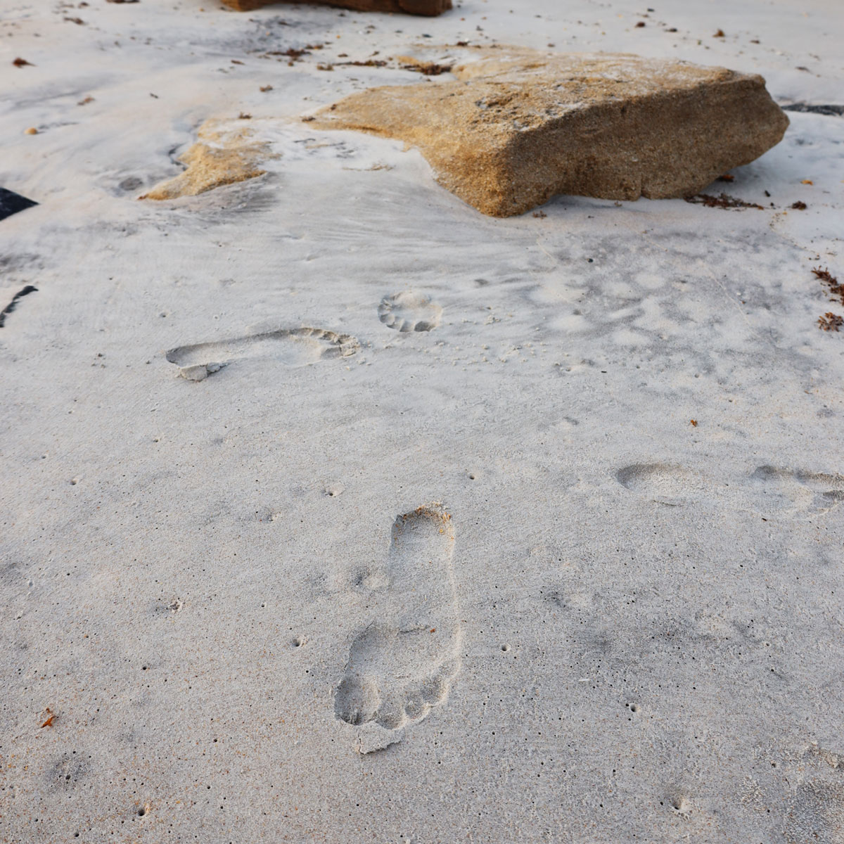 Footprint on a beach