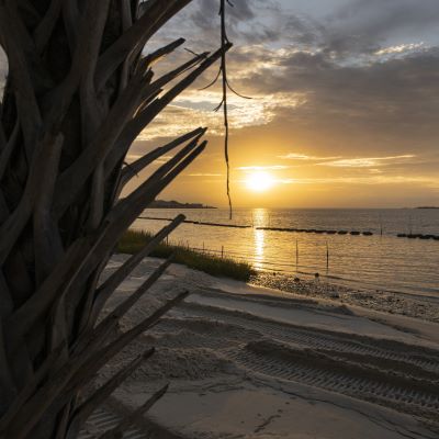  Cedar Key’s living shorelines bolster resilient community