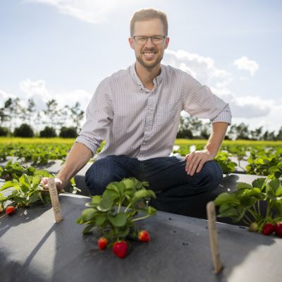 Scientists find ethyl vanillin in a UF/IFAS-bred strawberry: A key finding for food and beverage industry