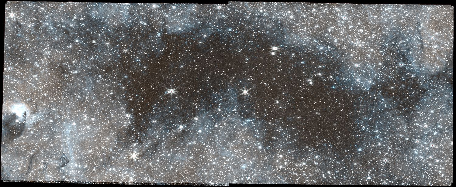 A vast expanse of Milky Way stars, visible as bright pinpoints against a gray and black background