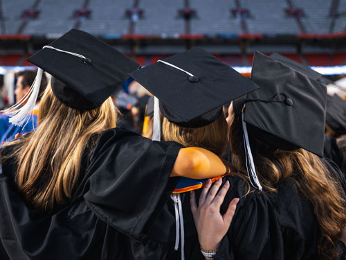 Three graduates in regalia shown from behind.