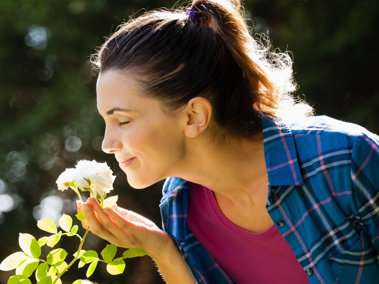 A woman holds and smells a white rose