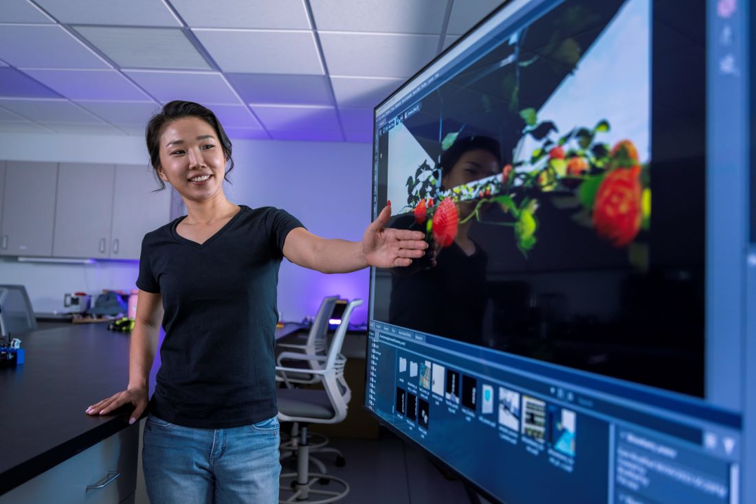 Researcher in a lab showing strawberry plants on a screen