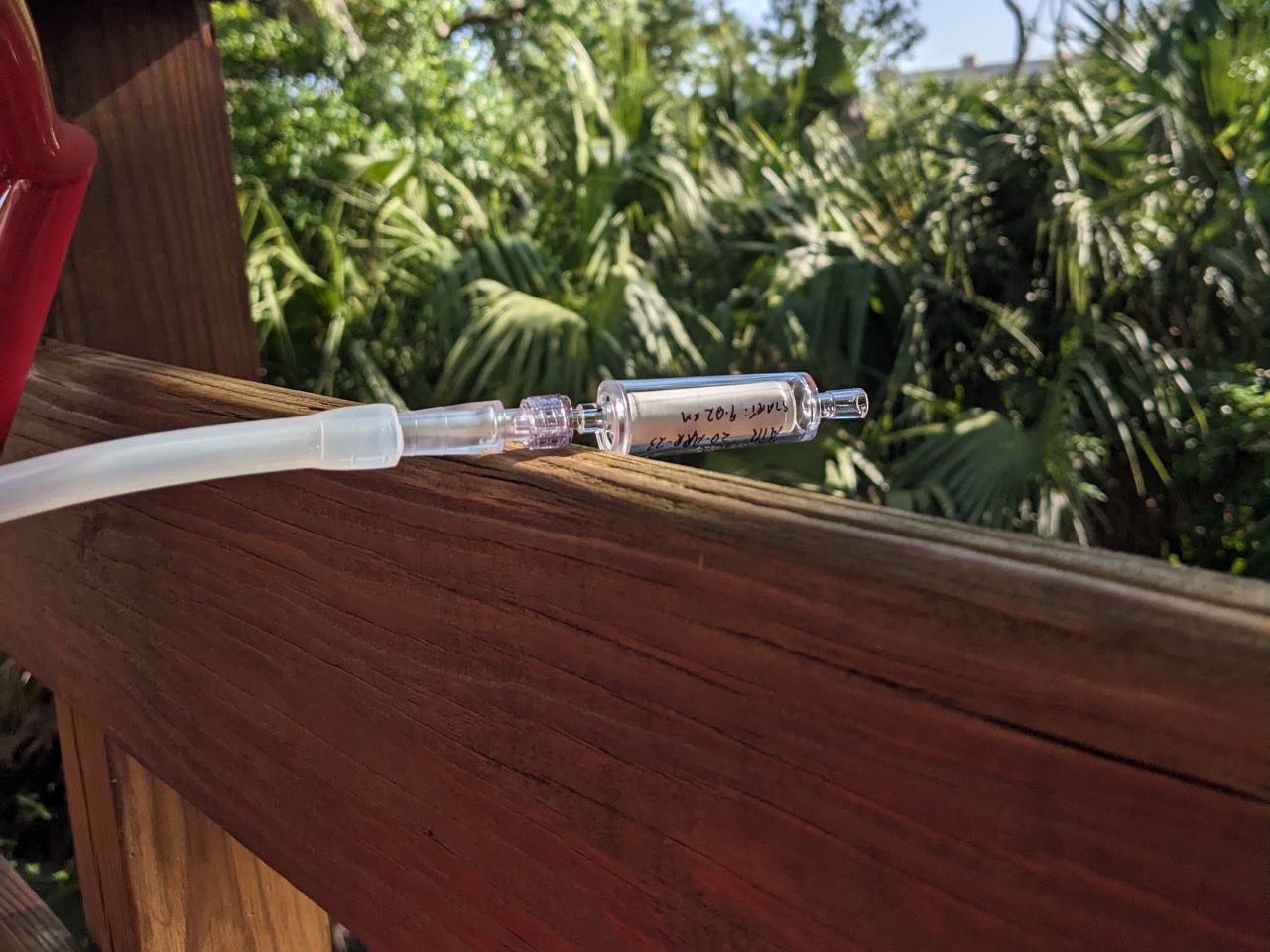 A syringe attached to plastic tubing and resting on a wood deck with a Florida forest in the background