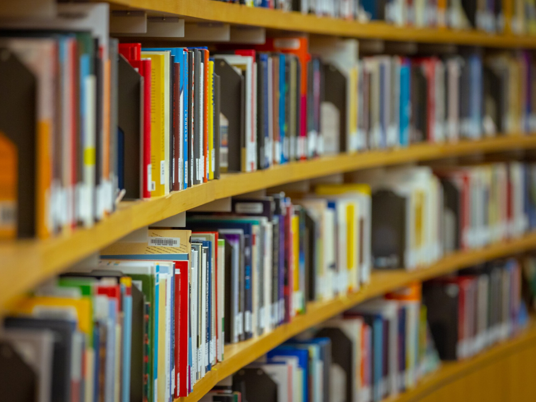 Bookshelves in a library