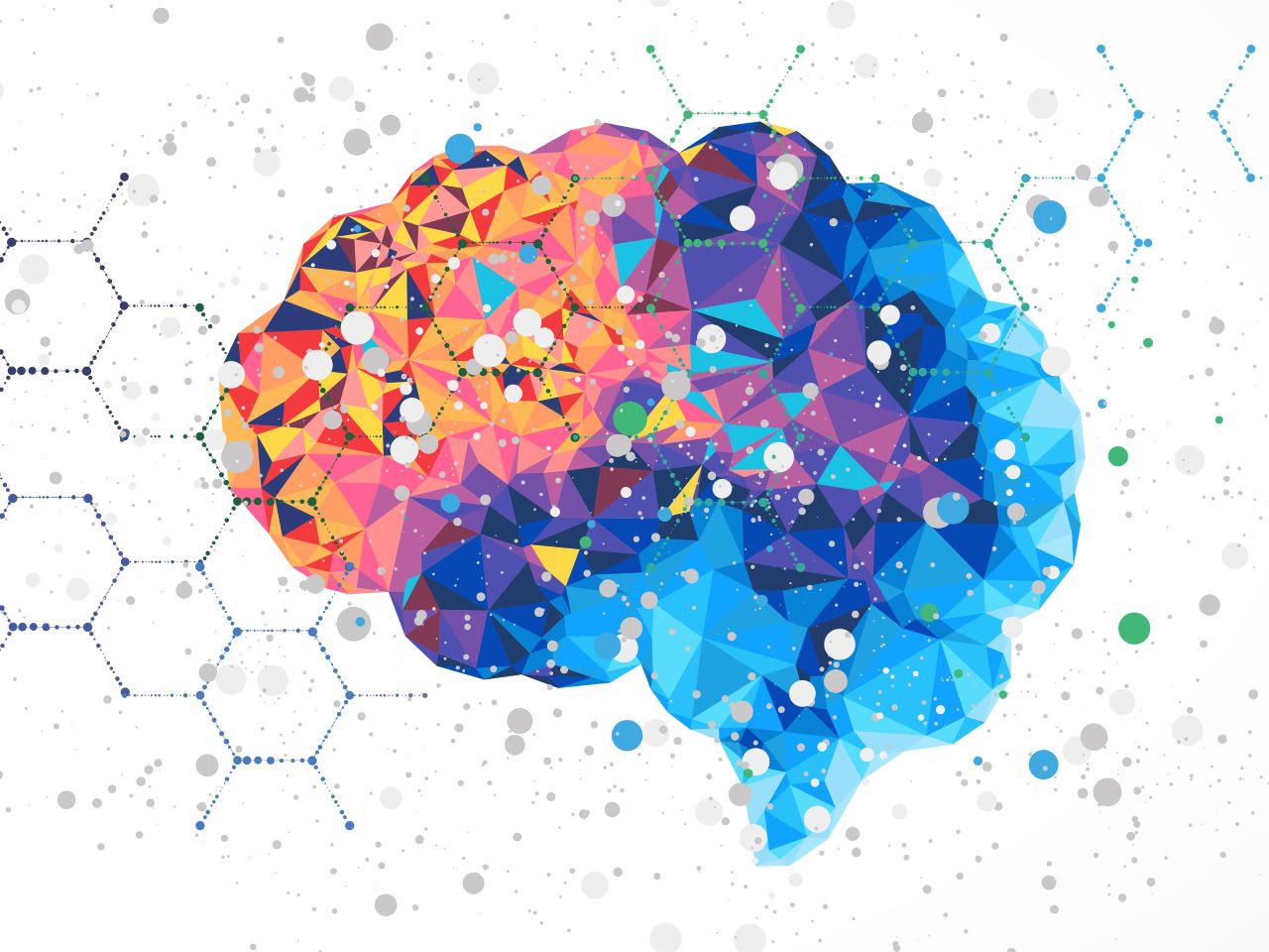 An illustration of a human brain in bright oranges and blues against a white background