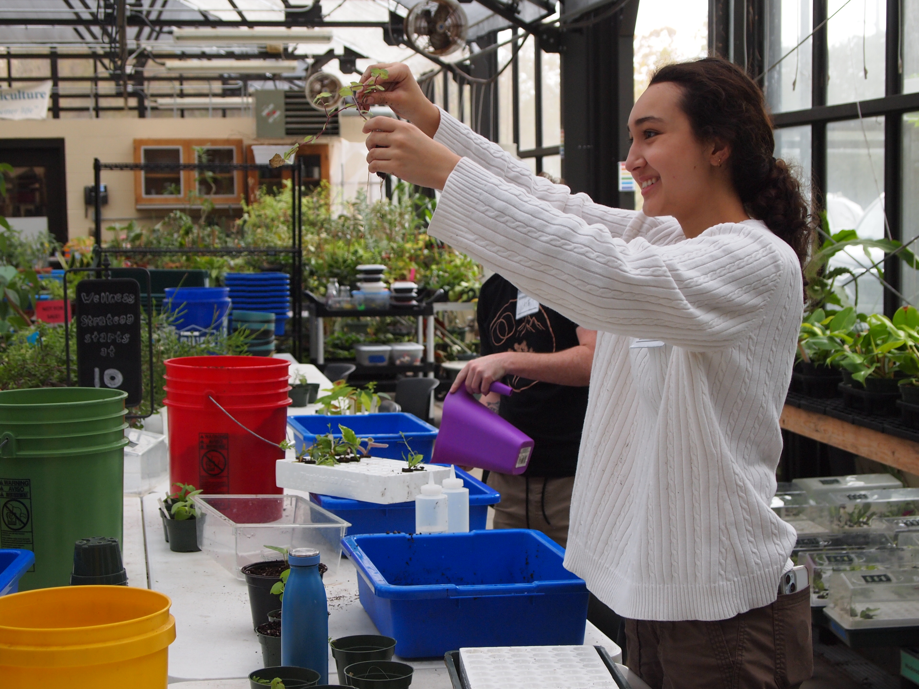 Students practicing horticulture in the greenhouse