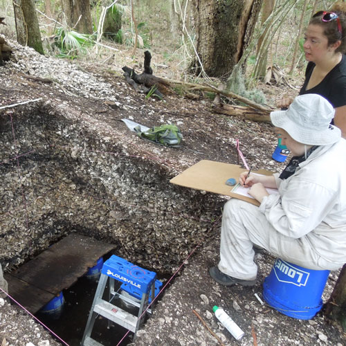Researchers digging into an archeology site.